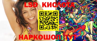 ECSTASY Гай