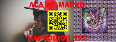 гашик Гатчина