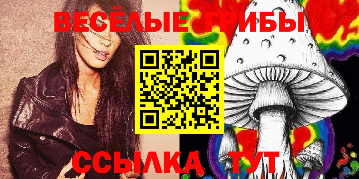 Керчь  Псилоцибиновые грибы MAGIC MUSHROOMS  Вход с VPN 